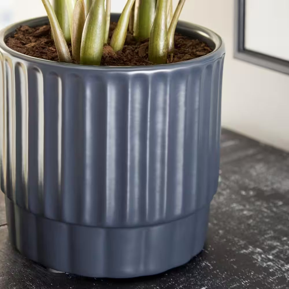 Miller Small Midnight Blue Ceramic Planter with Drainage Hole (5.9 In. L X 5.9 In. W X 5.1 In. H)
